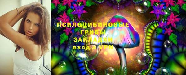 марки lsd Богородицк